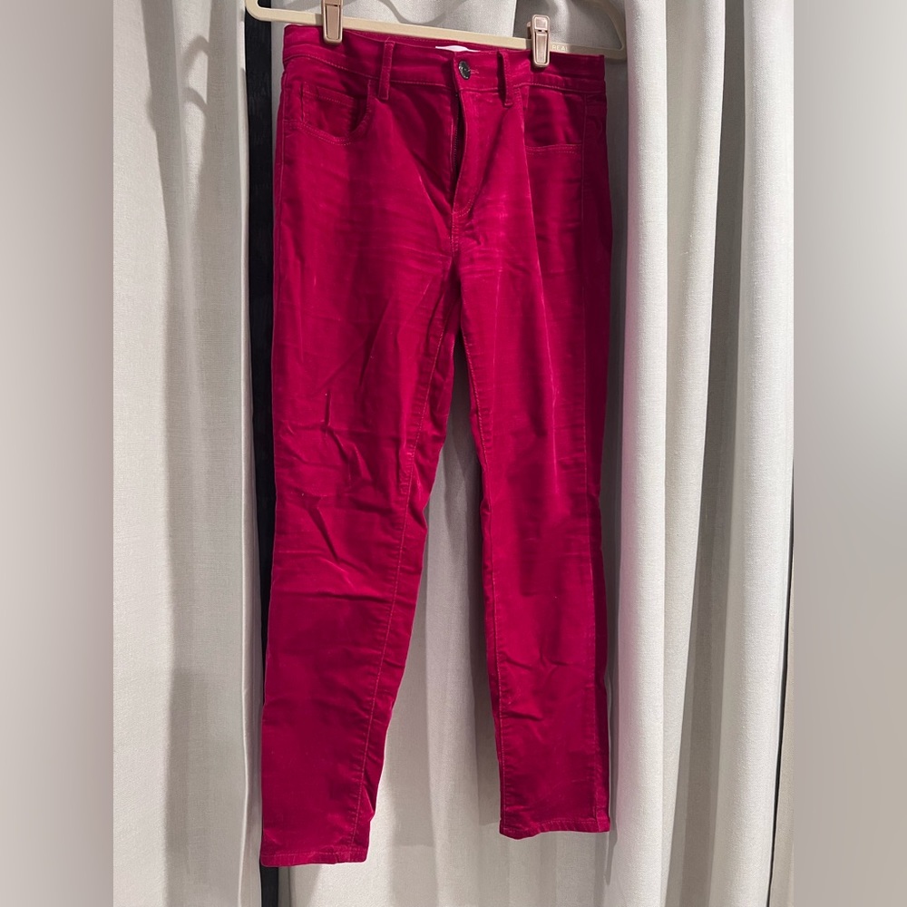 Loft Velvet Pink Pants